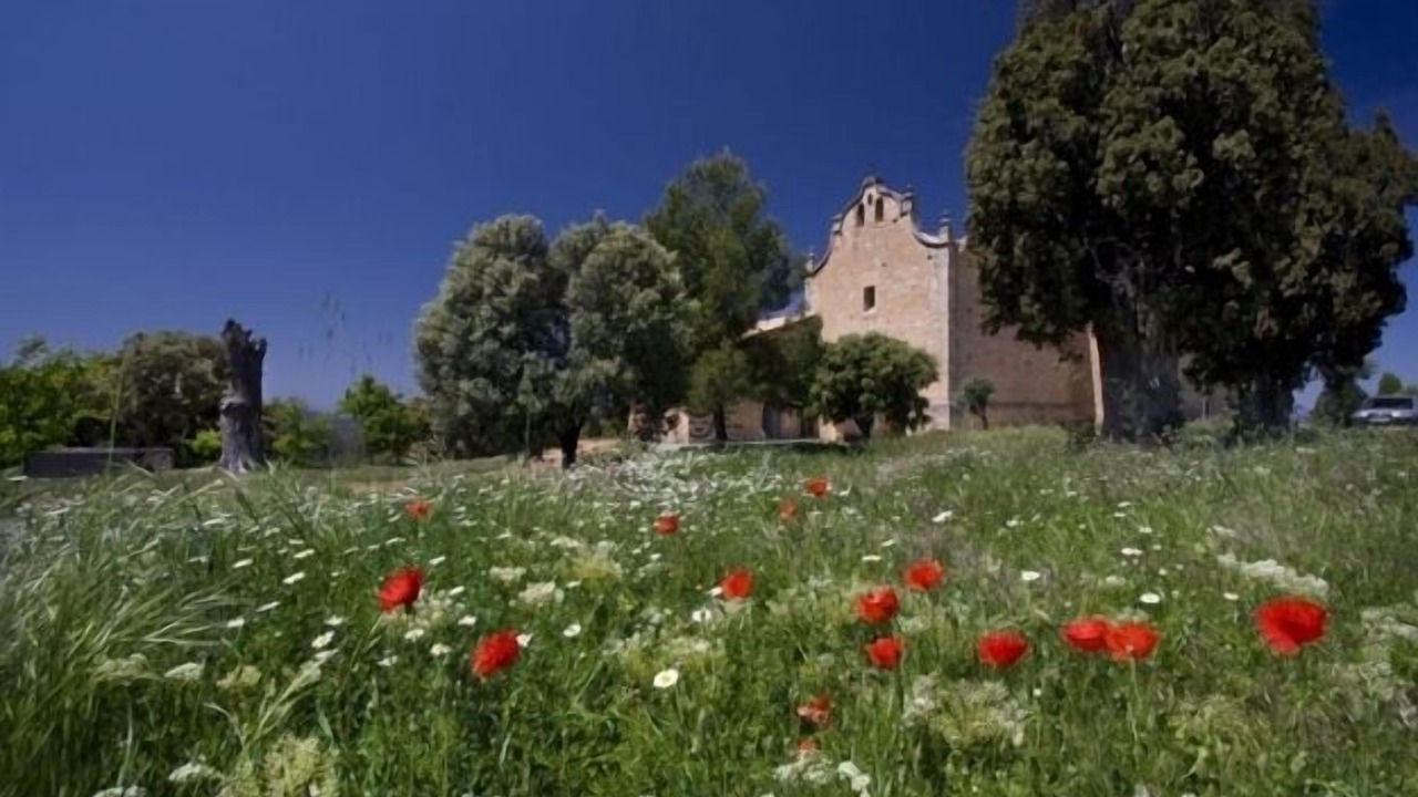 Photo of Outdoor in Monroyo