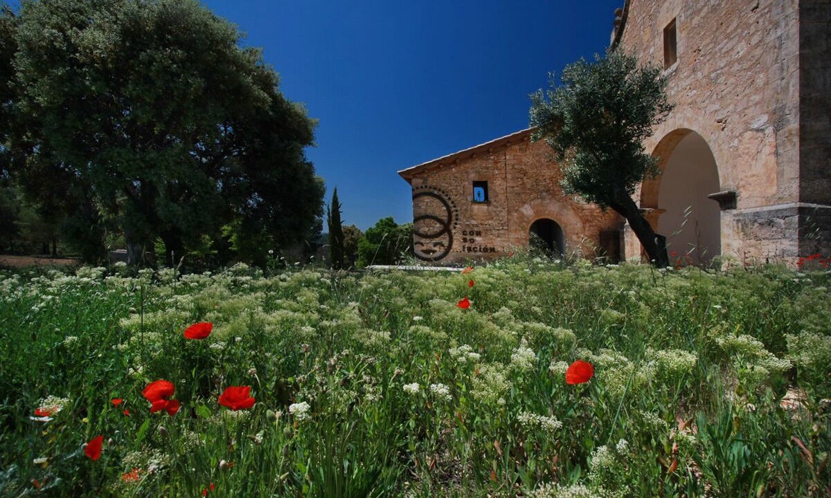 Photo of Outdoor in Monroyo