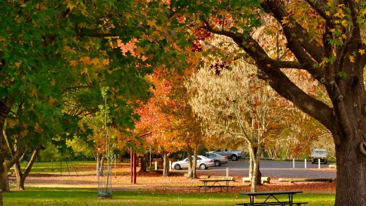 Photo of Others in Wisemans Ferry