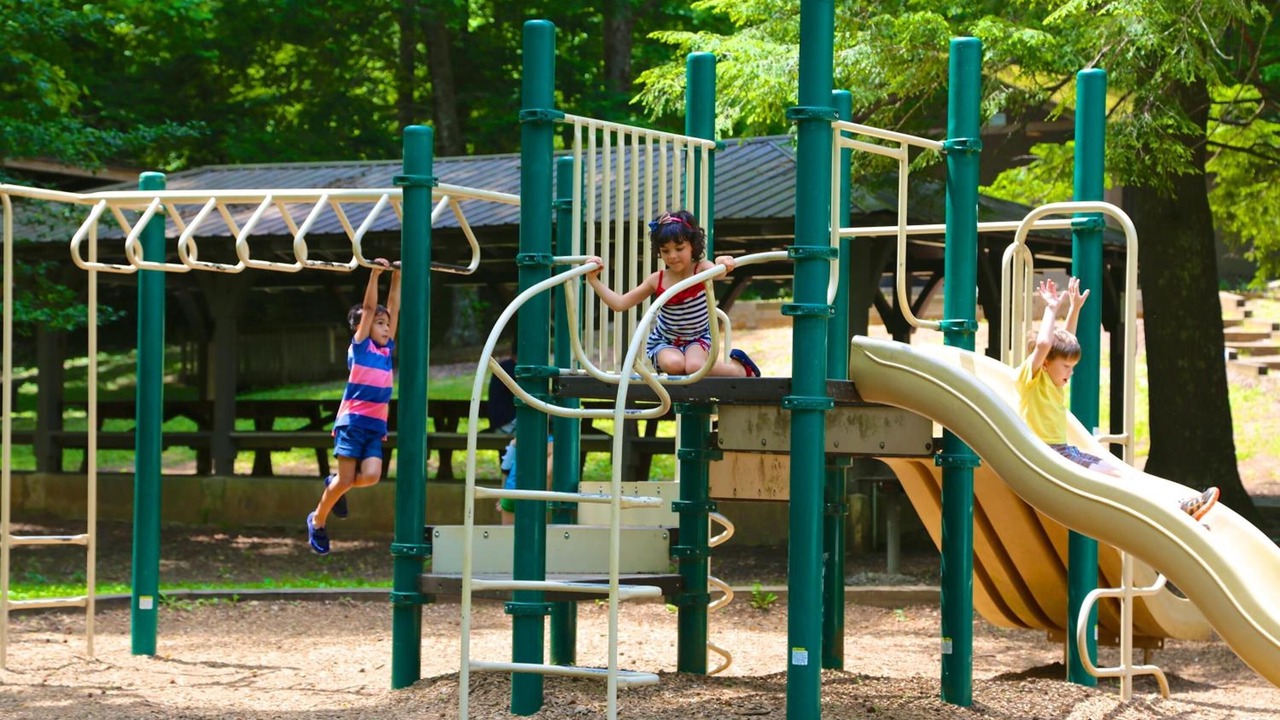 Photo of Others in Tanglewood