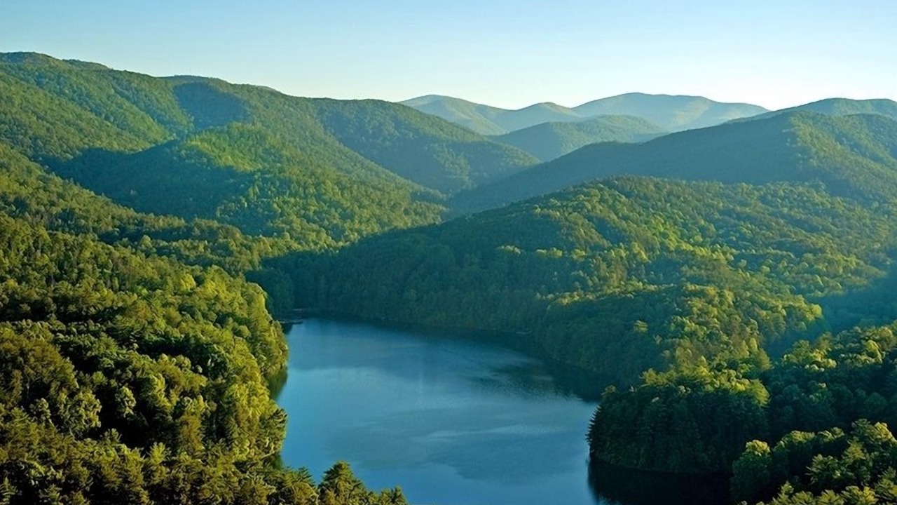 Photo of Outdoor in Tanglewood