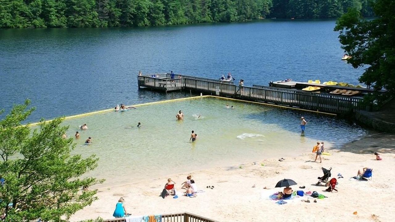 Photo of Others in Tanglewood