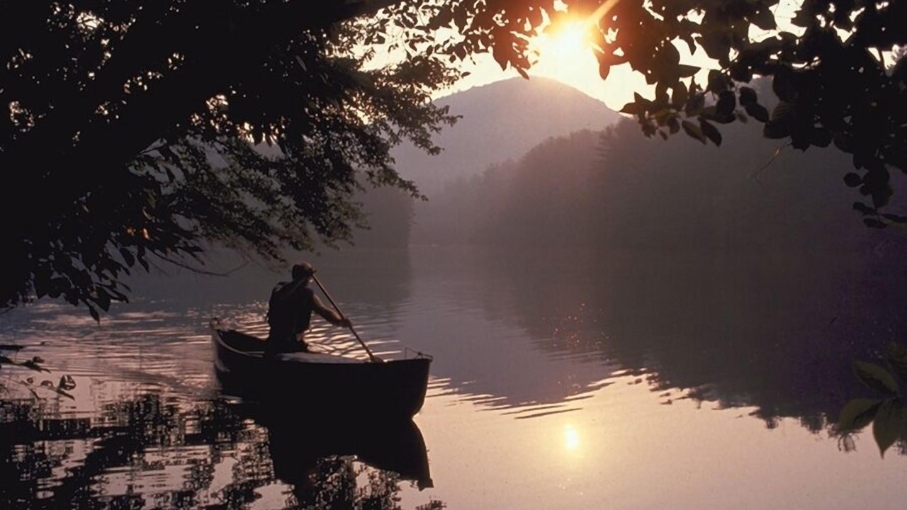 Photo of Others in Tanglewood