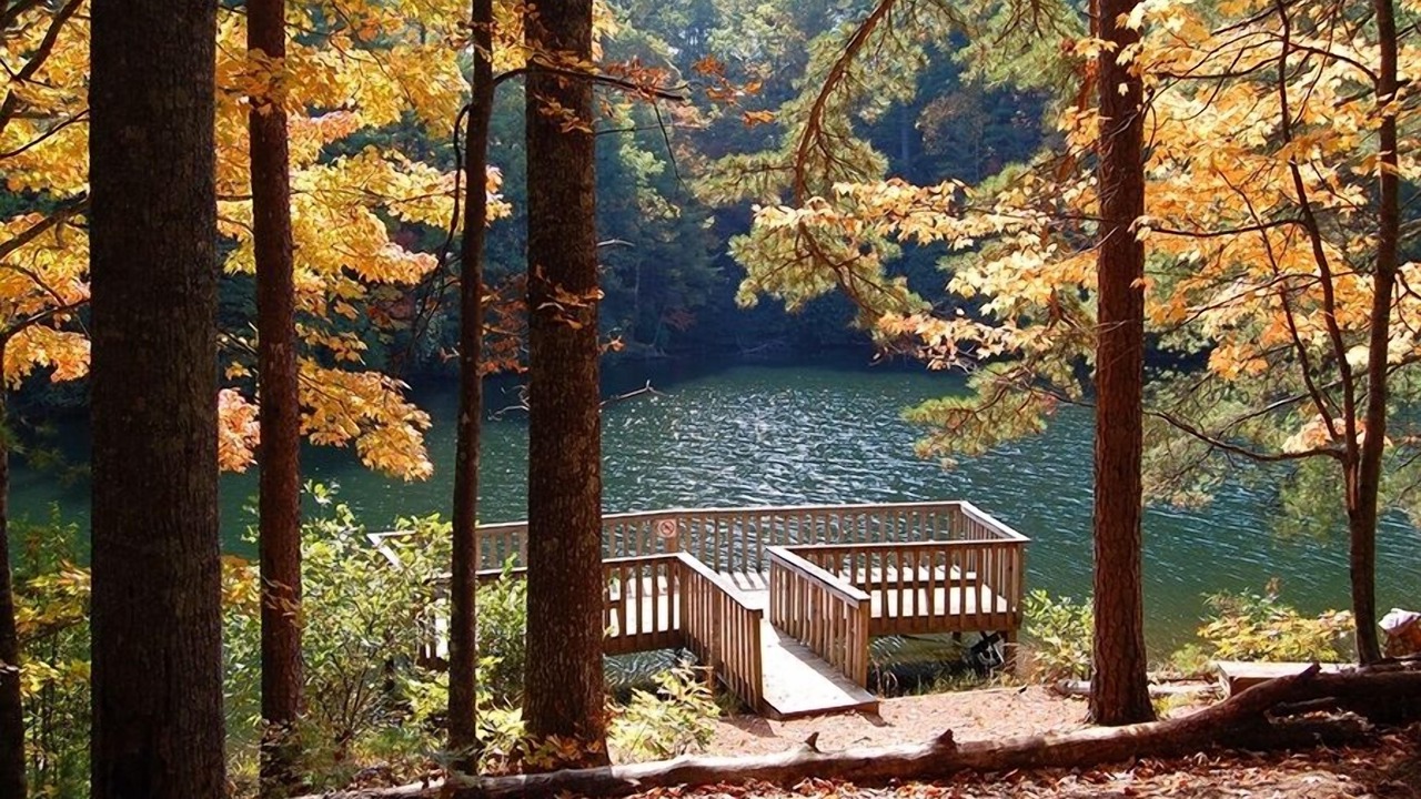 Photo of Others in Tanglewood