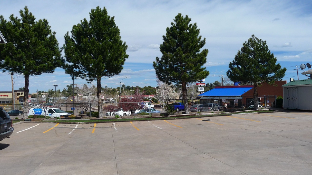 Photo of Outdoor in Show Low