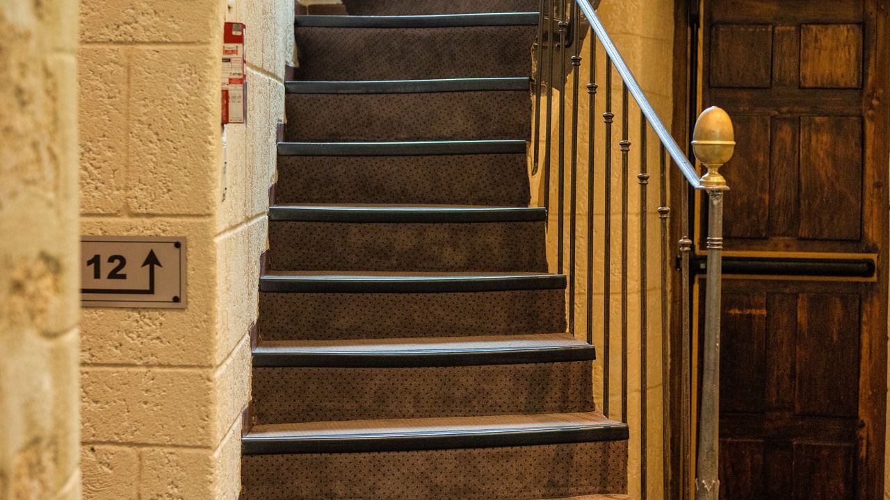 Photo of Others in Avignon City Centre