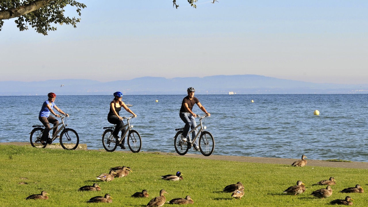 Photo of Others in Arbon