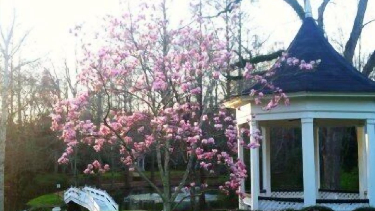 Photo of Outdoor in Natchez