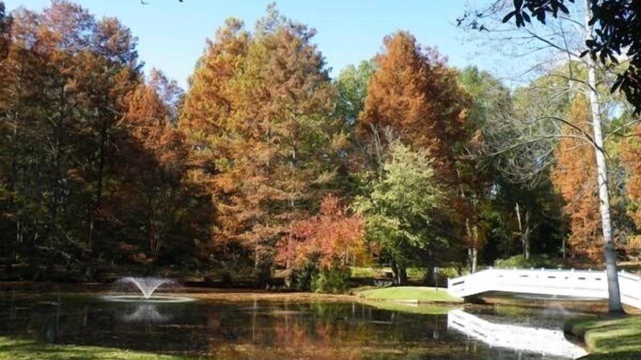 Photo of Outdoor in Natchez
