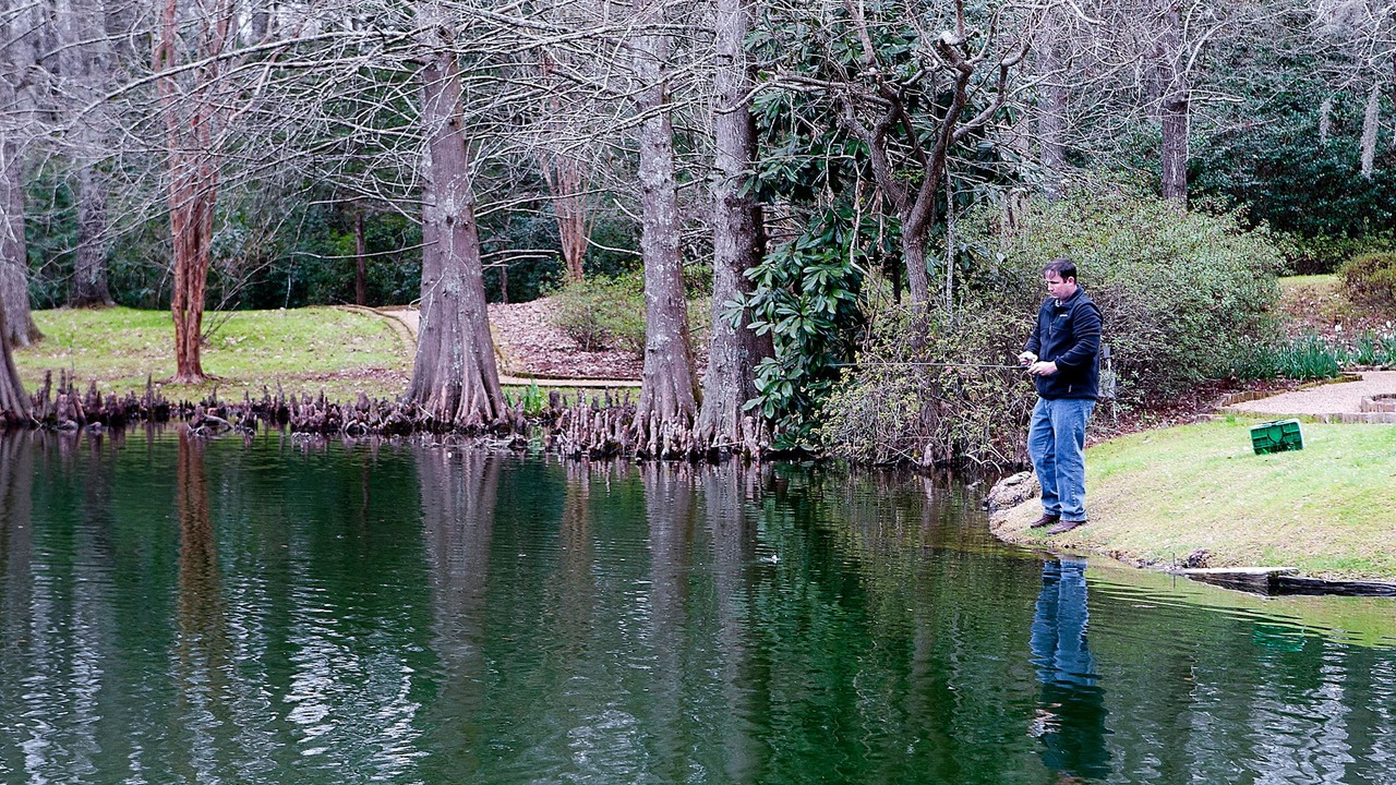 Photo of Others in Natchez