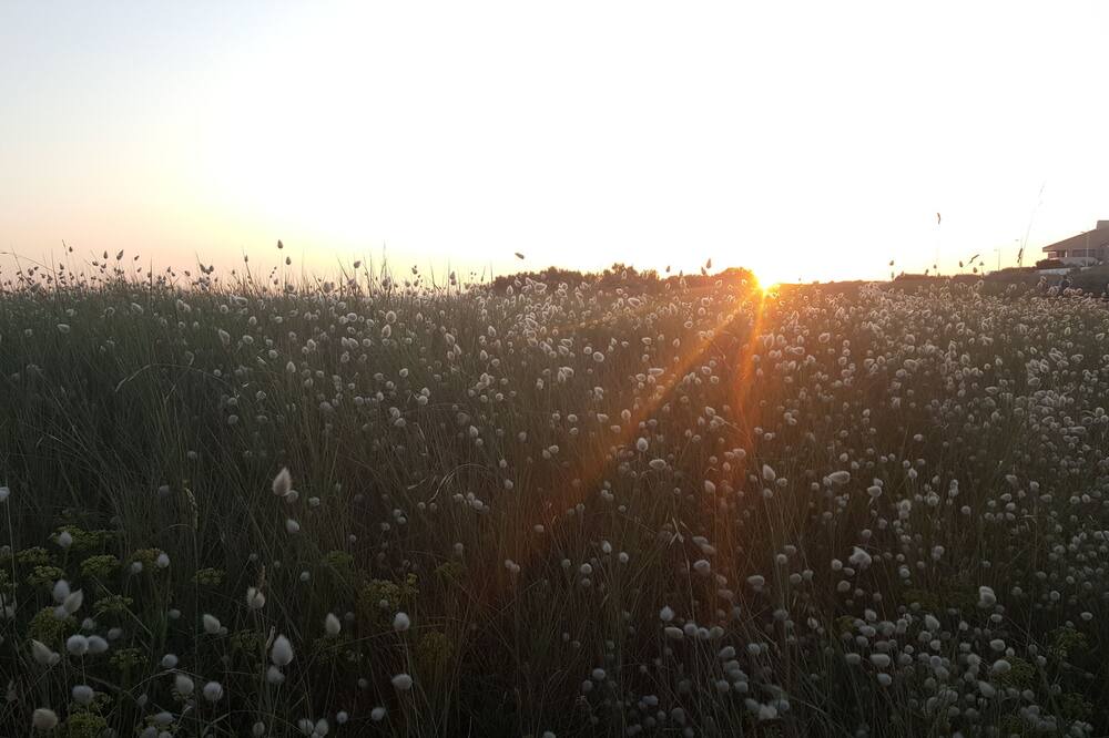 Photo of Others in Chatel-Guyon