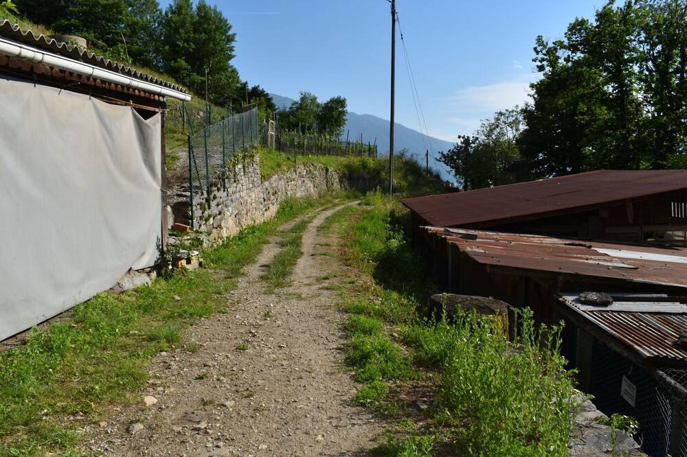 Photo of Others in Gordola