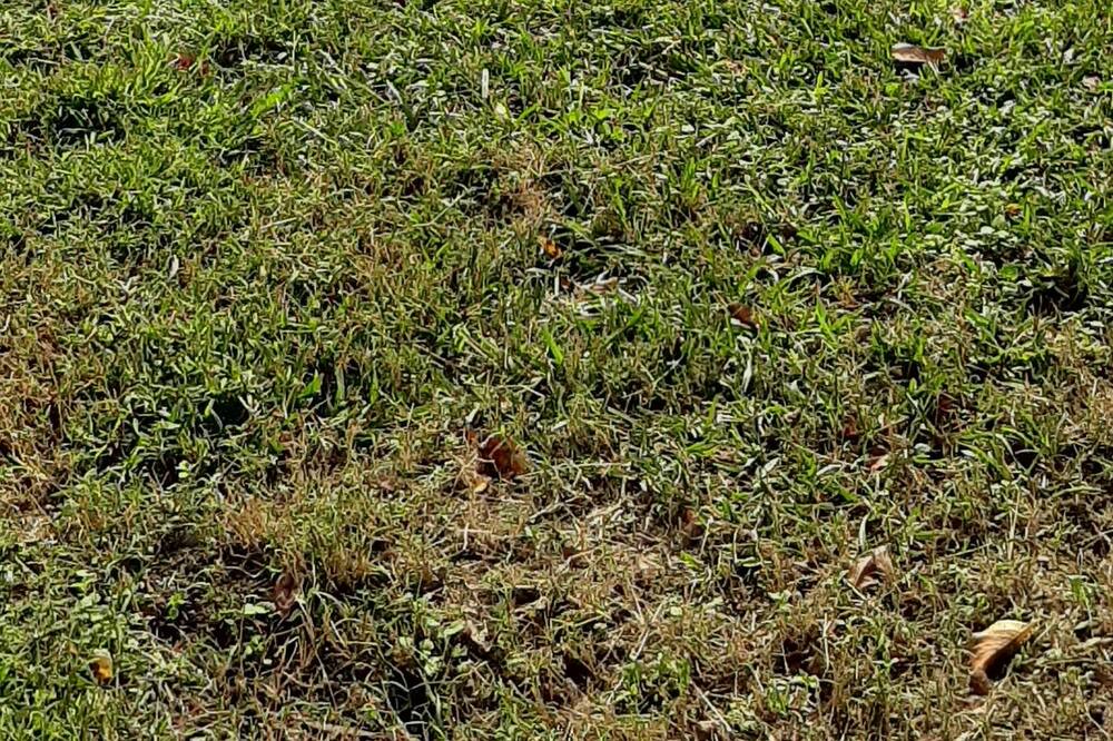 Photo of Outdoor in Willard