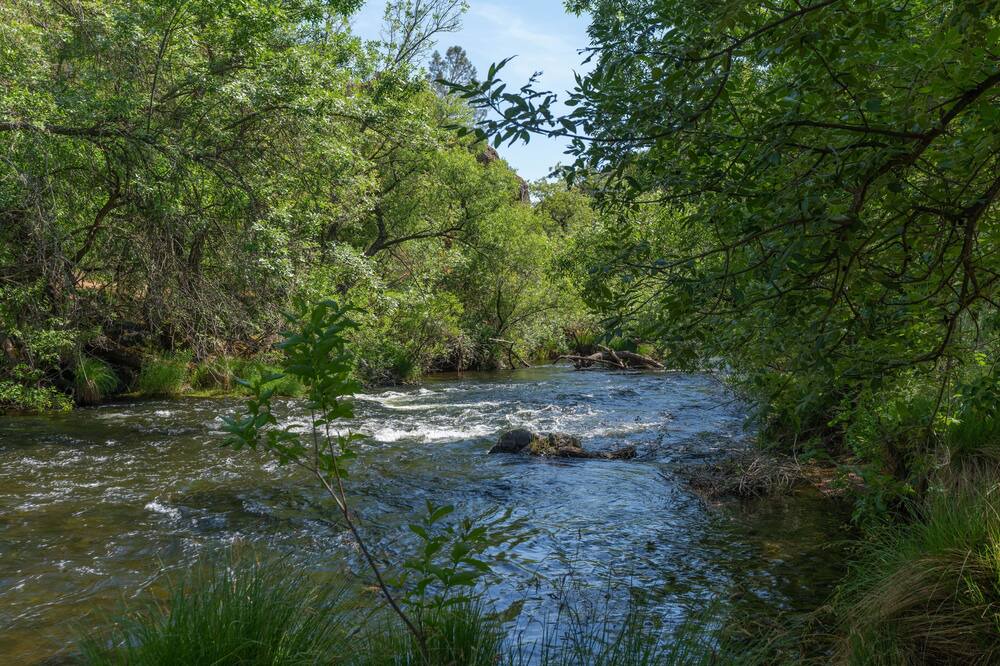 Photo of Outdoor in Rancho Calaveras