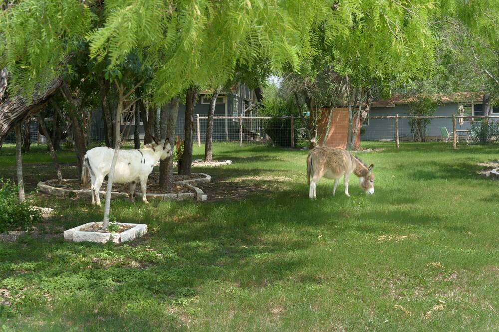 Photo of Outdoor in Seguin