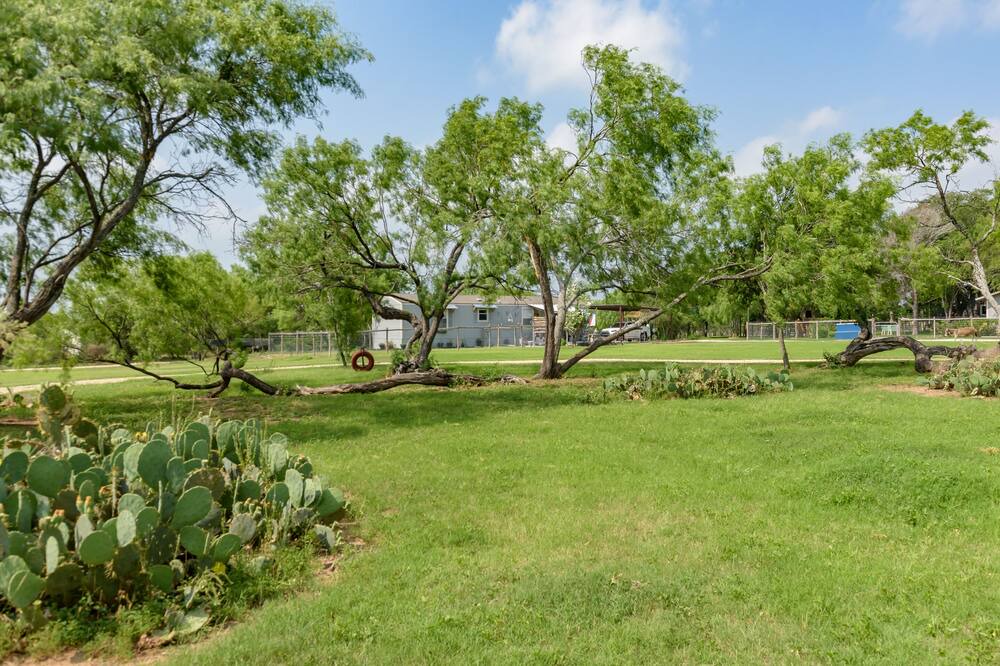 Photo of Outdoor in Seguin