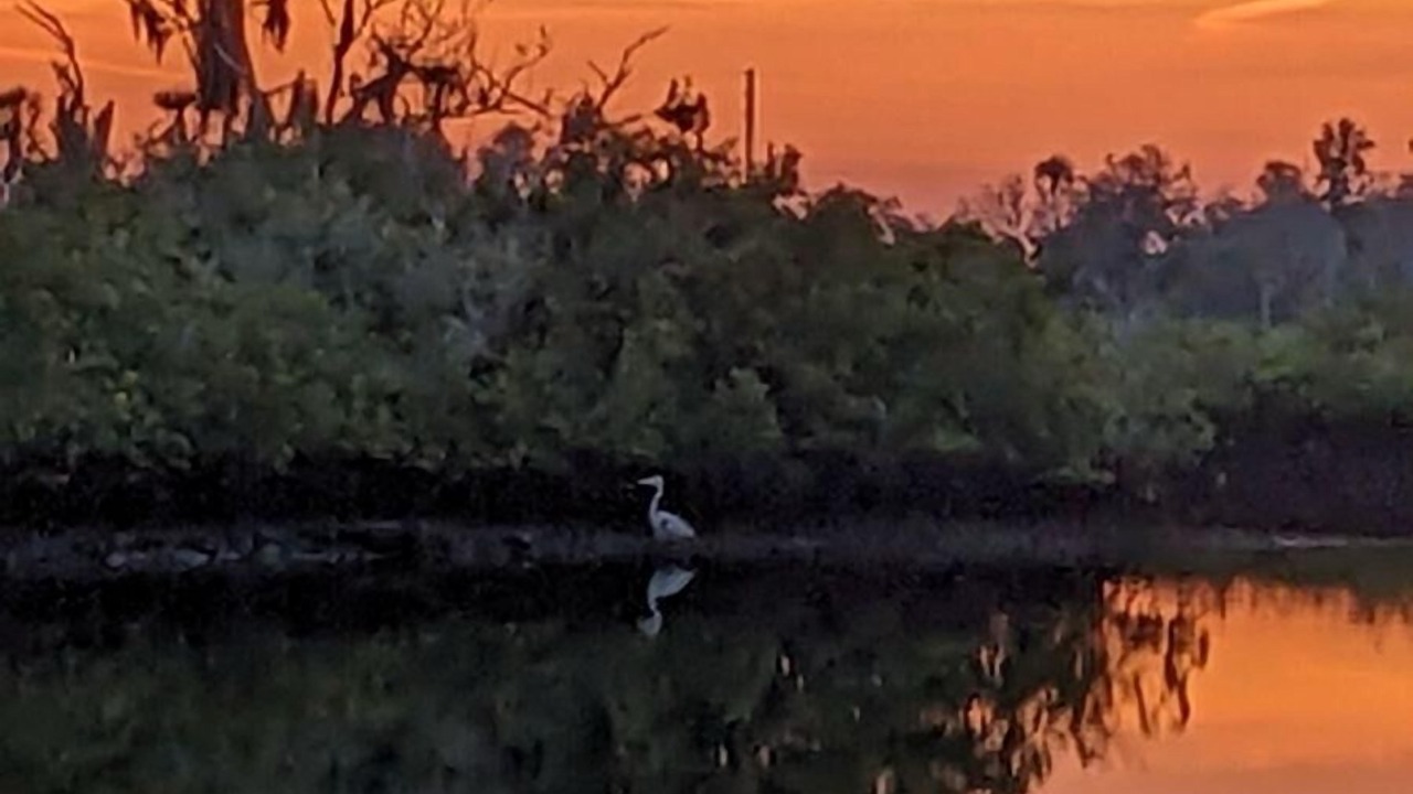 Photo of Others in Crystal River