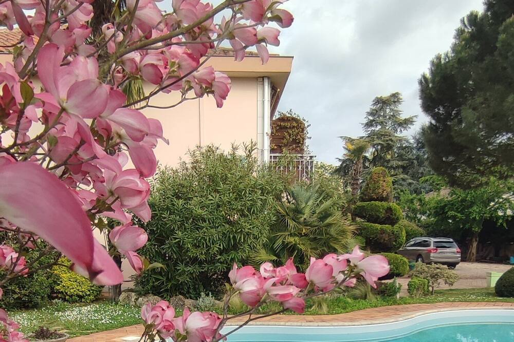 Photo of Outdoor in Agen