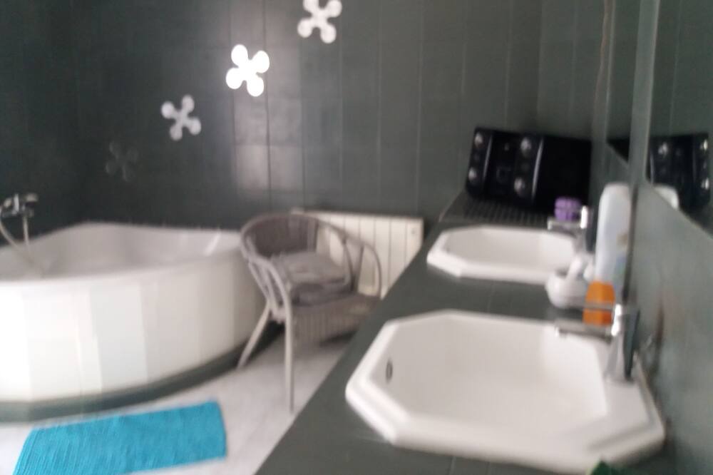 Photo of Bathroom in Saint-Paul-le-Jeune