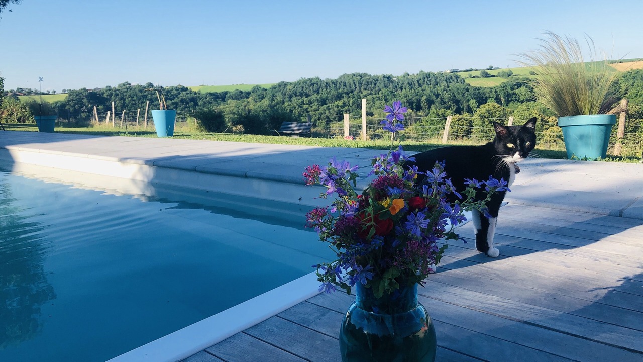 Photo of Outdoor in Villefranche-d'Albigeois
