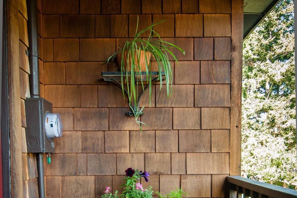 Photo of Others in Olga