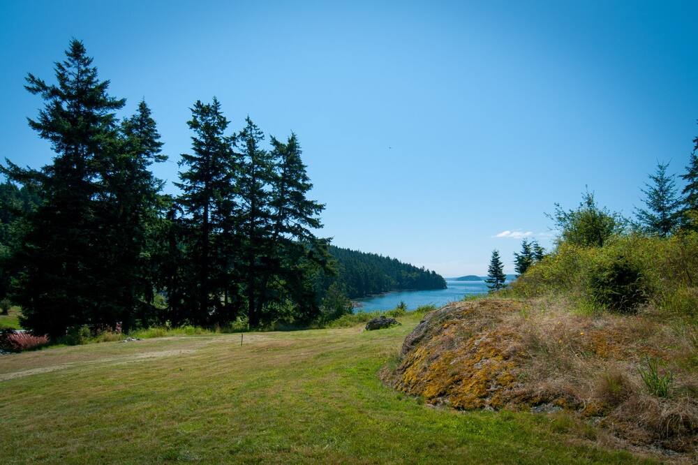 Photo of Others in Olga