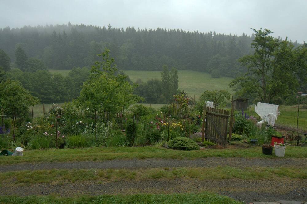 Photo of Outdoor in Olga