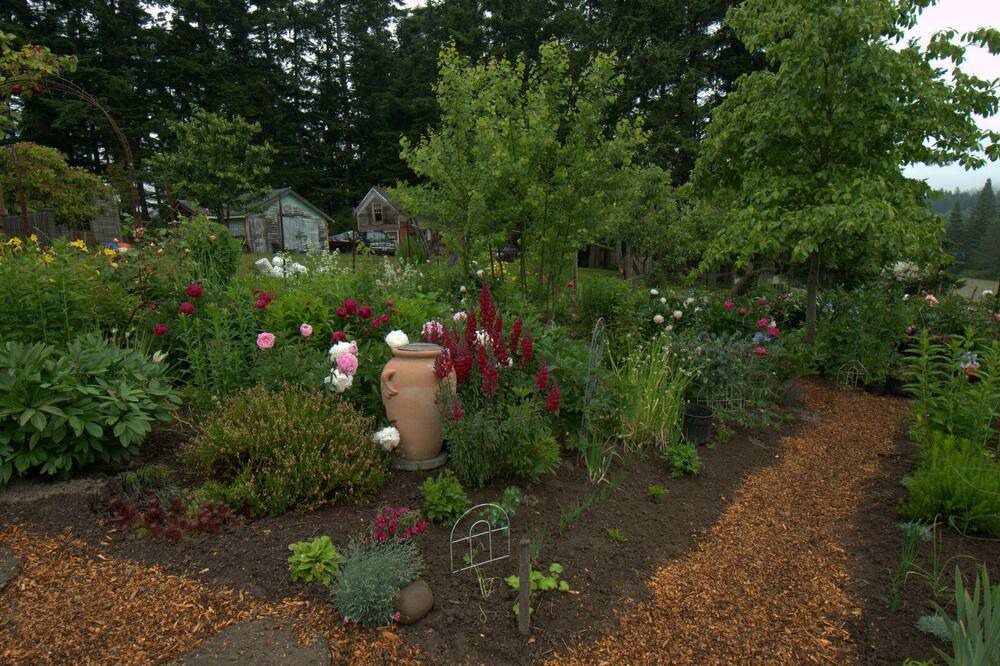 Photo of Outdoor in Olga