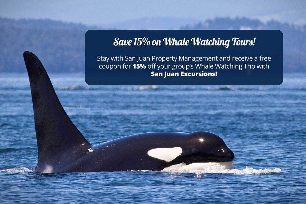 Photo of Others in Olga