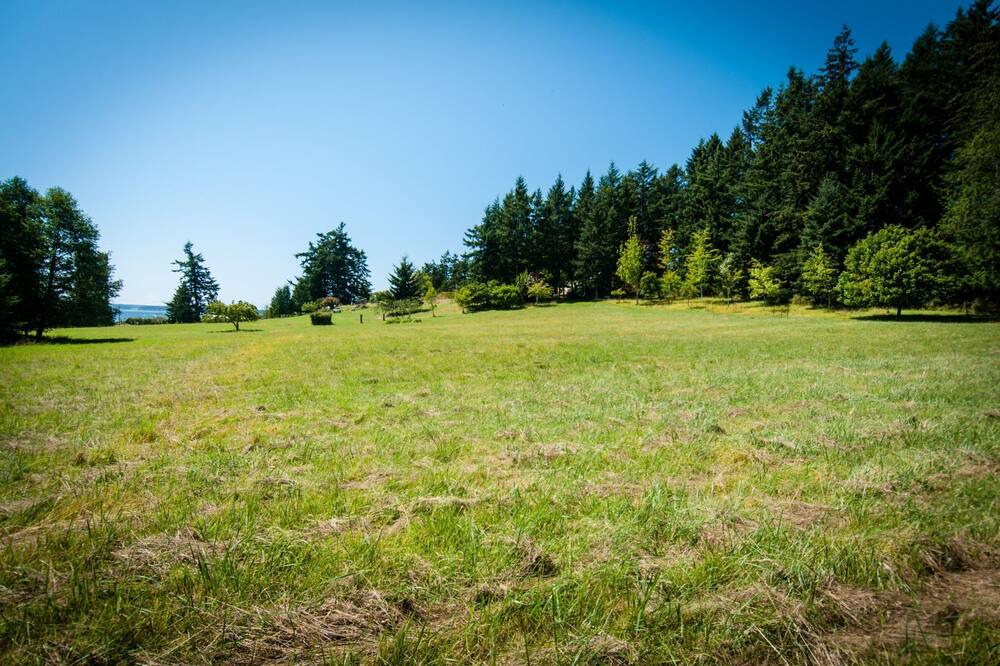 Photo of Bedroom in Olga