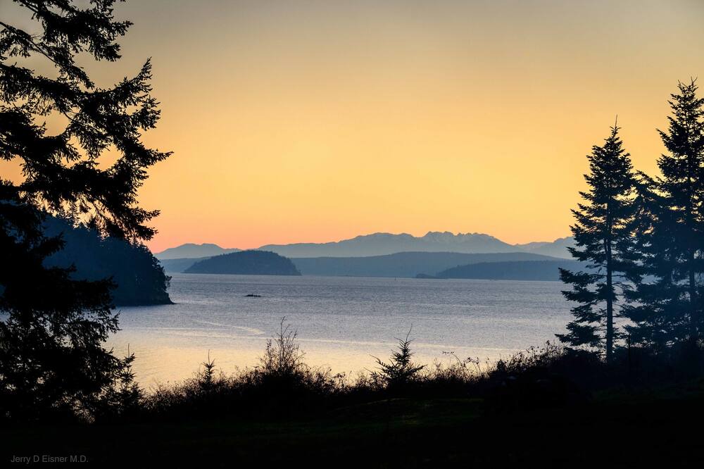 Photo of Others in Olga