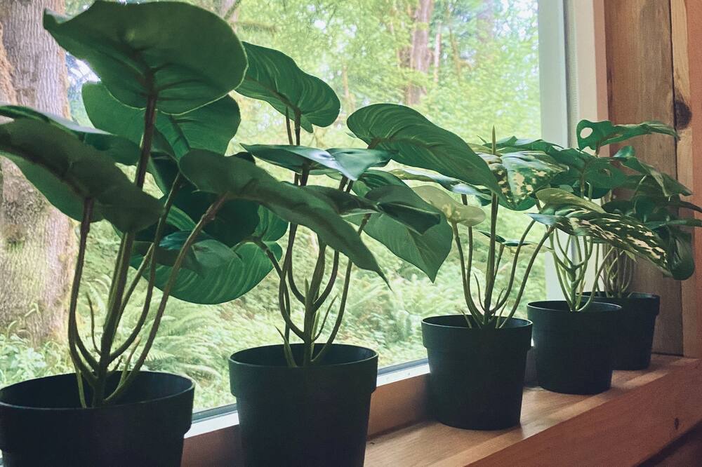 Photo of Others in Clatskanie