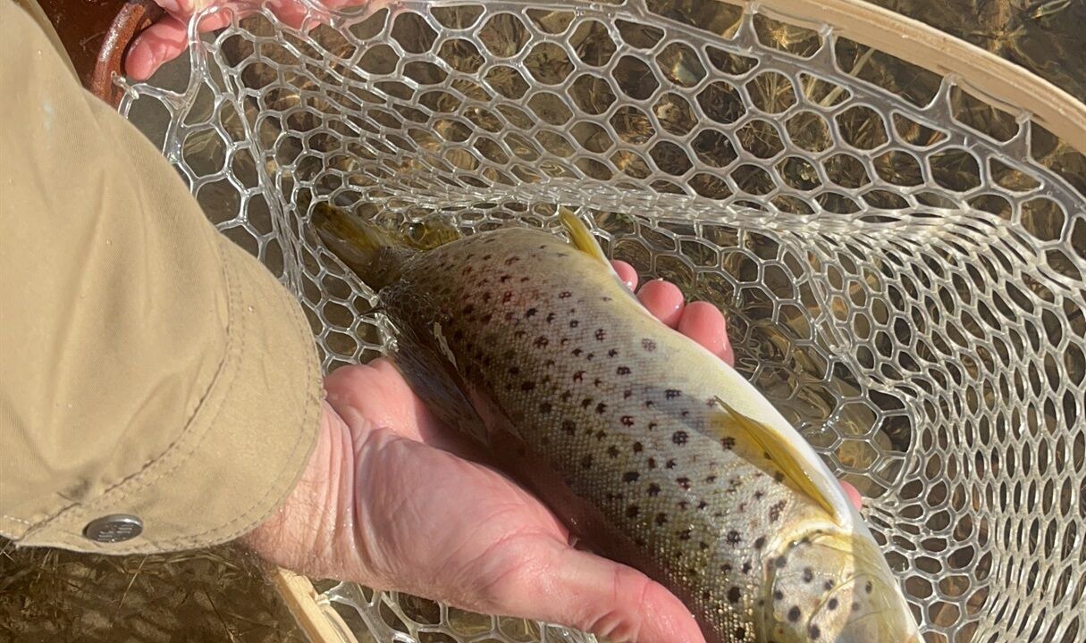 Photo of Others in Matamoras