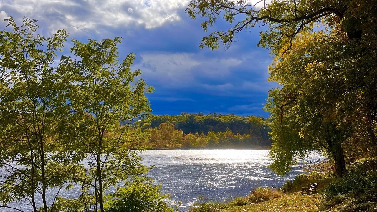 Photo of Others in Matamoras