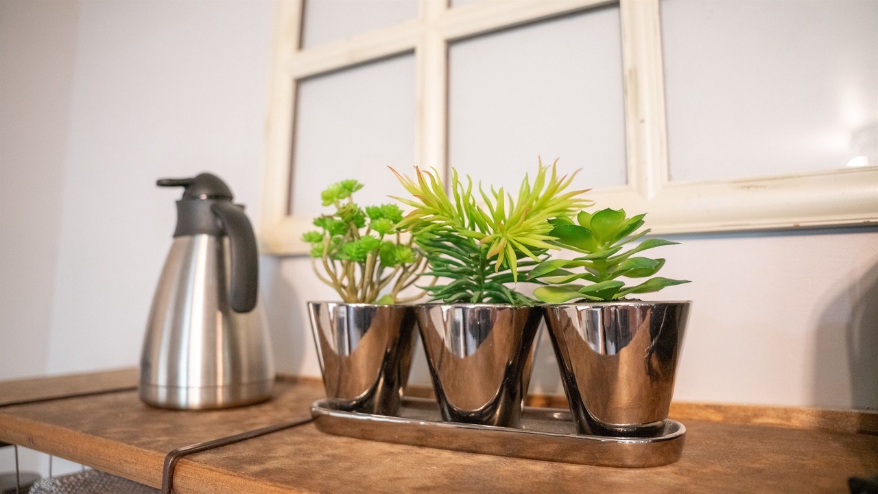 Photo of Others in Matamoras