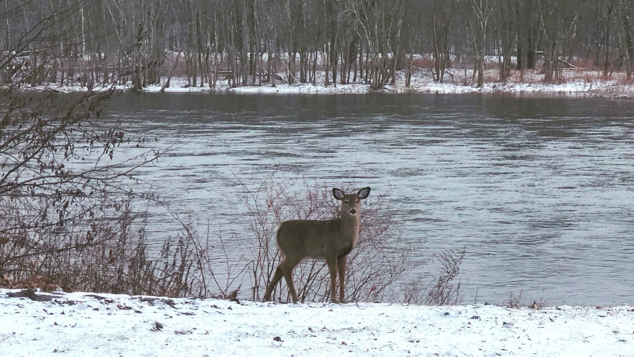 Photo of Outdoor in Matamoras