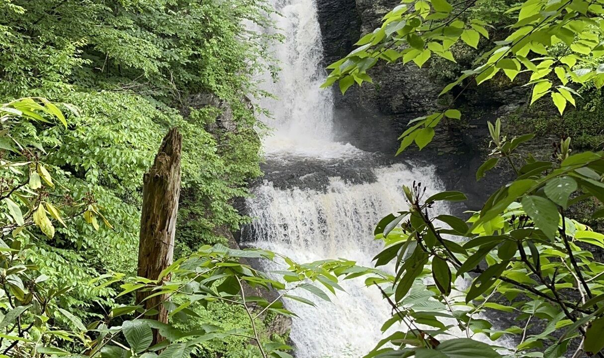 Photo of Outdoor in Matamoras