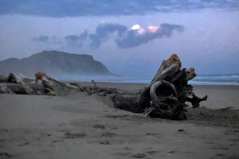 Photo of Others in Herbertville