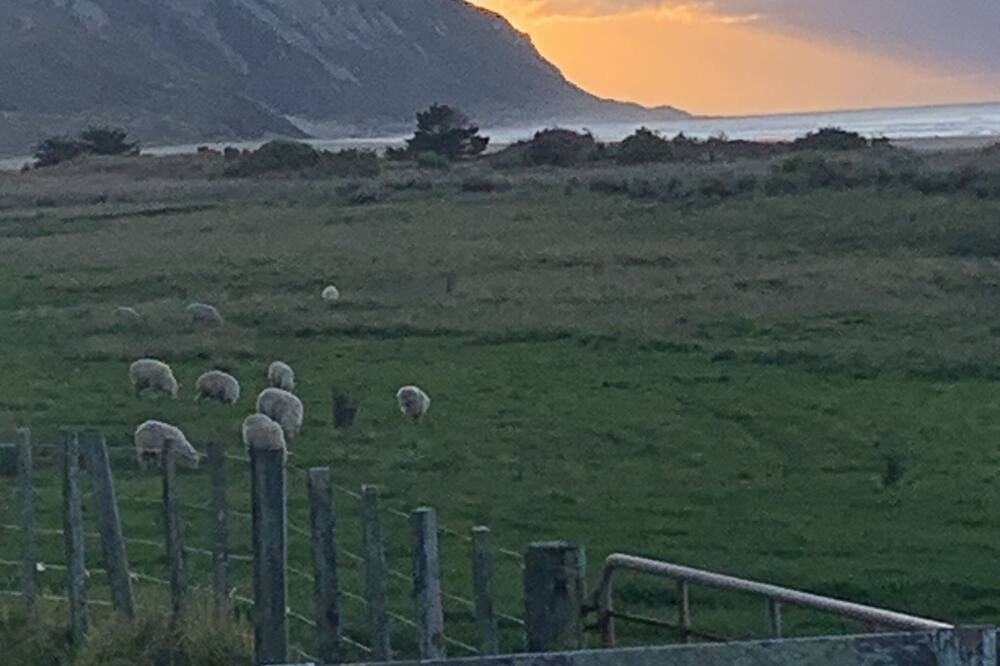 Photo of Others in Herbertville