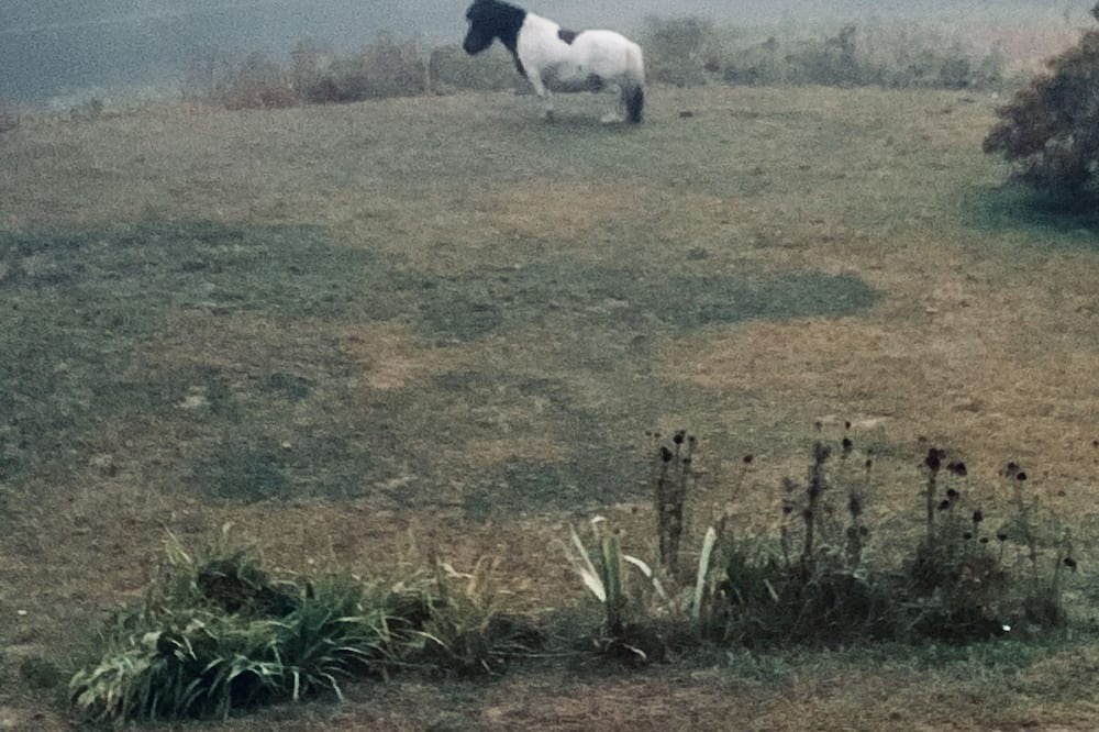 Photo of Others in Canterbury