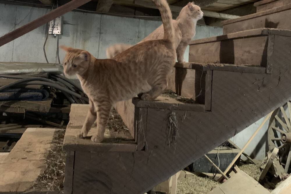 Photo of Others in Canterbury