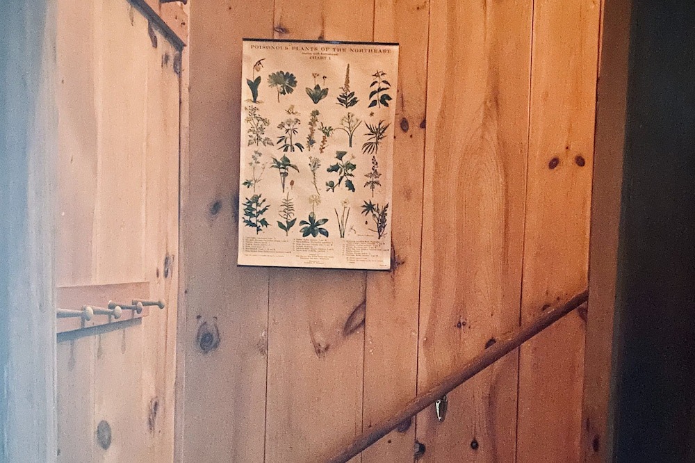 Photo of Others in Canterbury