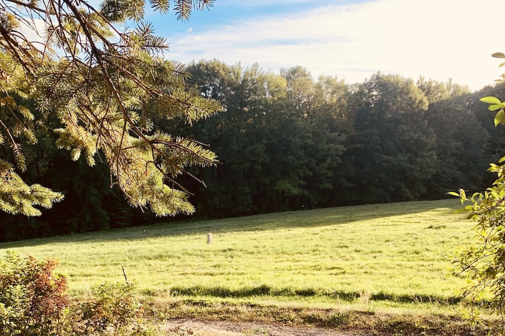 Photo of Outdoor in Canterbury