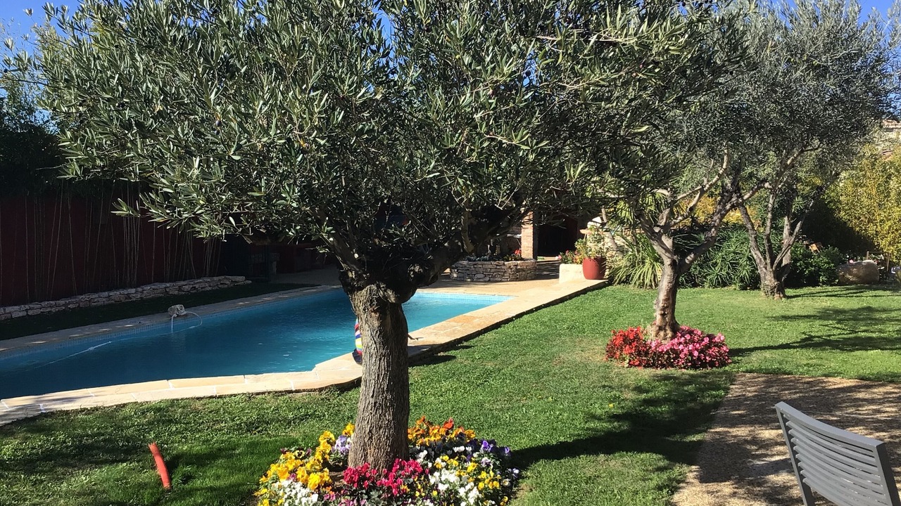 Photo of Outdoor in Fons