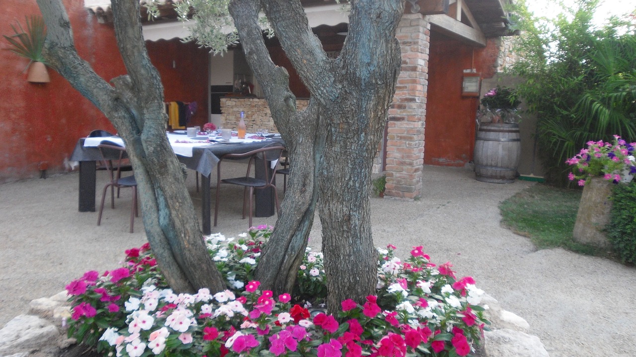 Photo of Outdoor in Fons