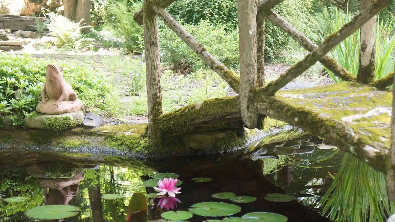 Photo of Outdoor in Canadensis