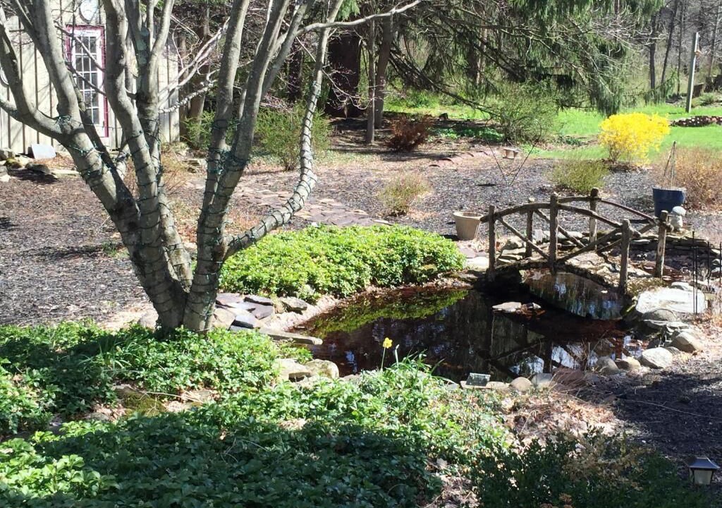 Photo of Outdoor in Canadensis