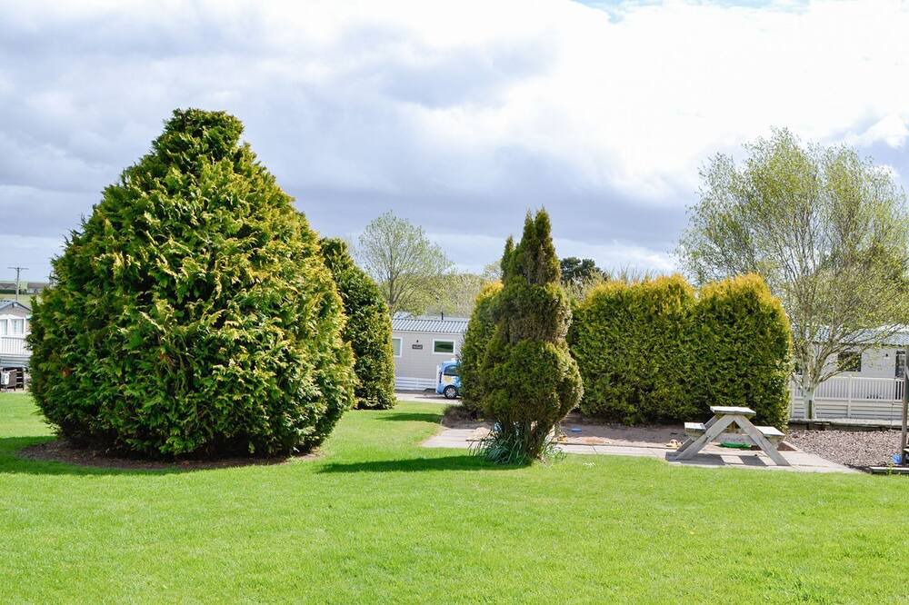 Photo of Outdoor in Saint Cyrus