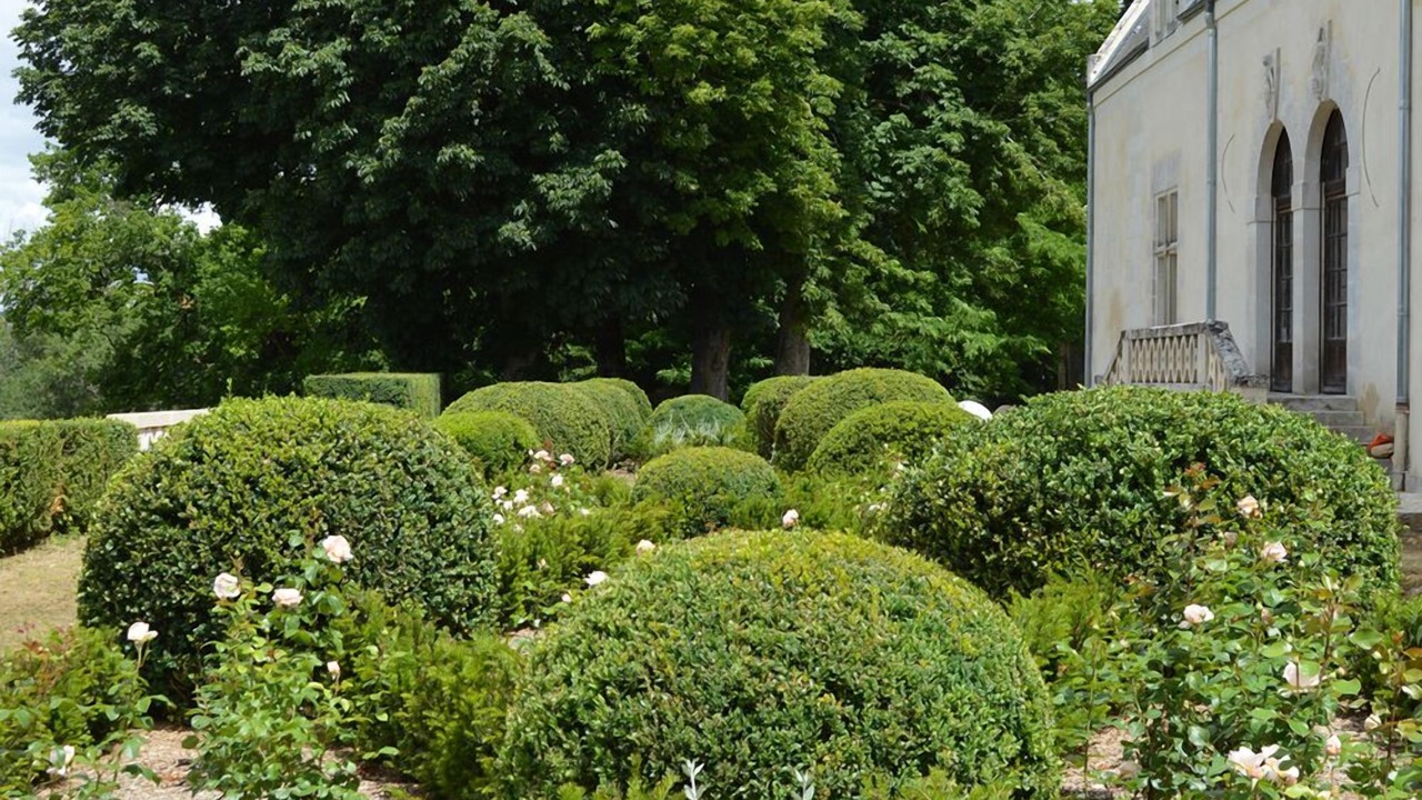 Photo of Outdoor in Reugny