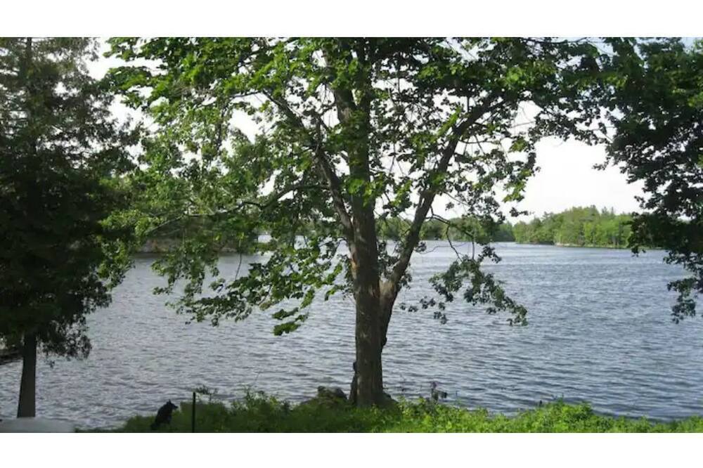 Photo of Others in Frontenac